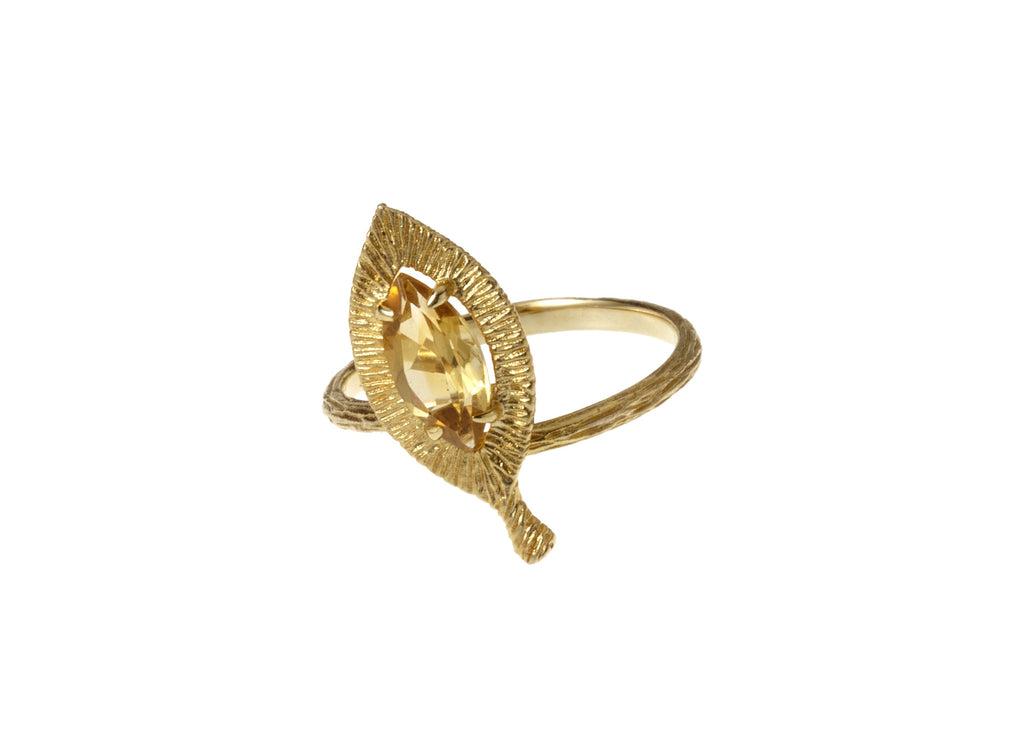 Gold Large Leaf Earrings – Rebecca Hook Jewelry